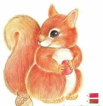 彩铅可爱的小松鼠,彩铅画可爱动物飞鼠
