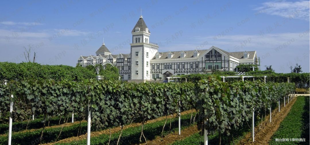 “风雨两甲子”张裕A:百二秦关终归楚,三千越甲可吞吴