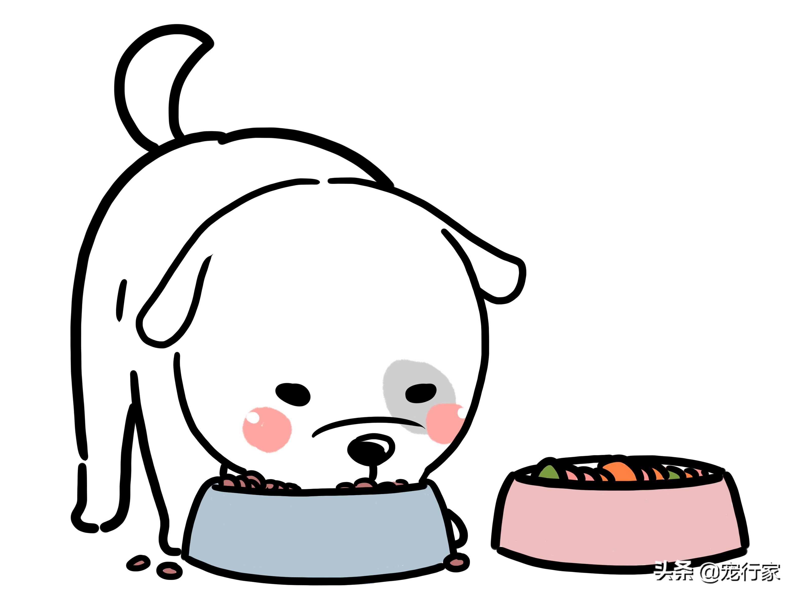 狗换粮太急拉稀了怎么办,狗的胃不消化