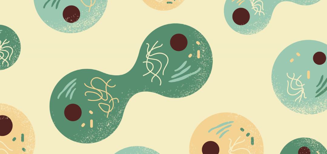 阿那亚|作为一个南方人，我差点错过北方这个的神仙度假地