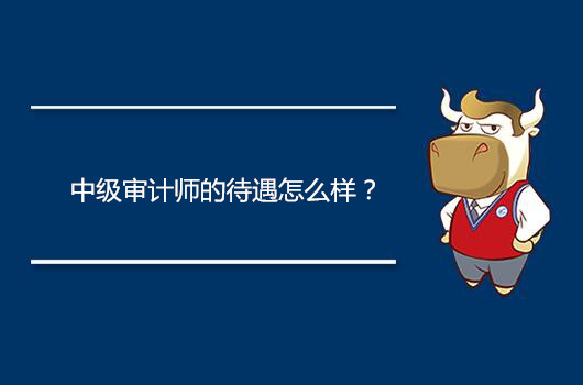 中级审计员待遇,中级审计和初级审计师