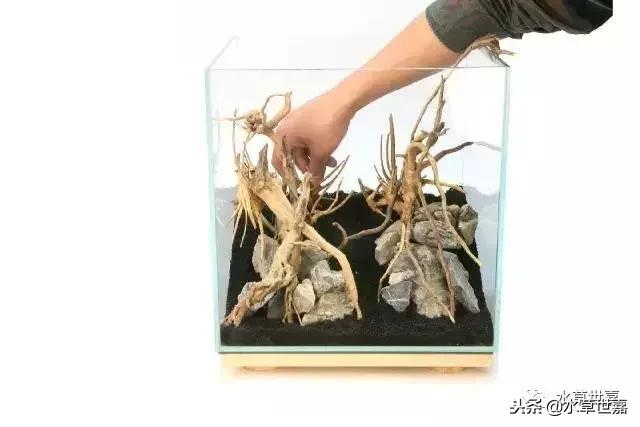 30cm小缸青龙石造景大全,30cm长缸原生溪流缸造景