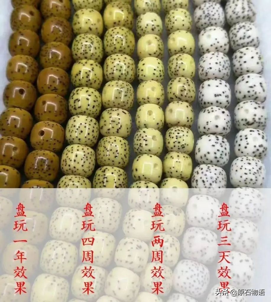 星月菩提一般几个籽,星月菩提只要是真的就可以玩
