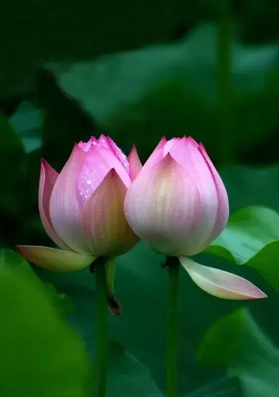 民办教育的困局与破局,民办教育机构最新消息