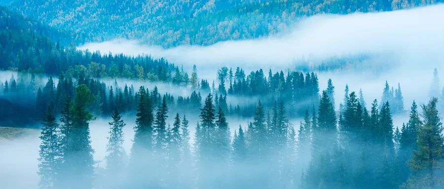 宫颈癌放疗全解二：如何应对放疗副作用？