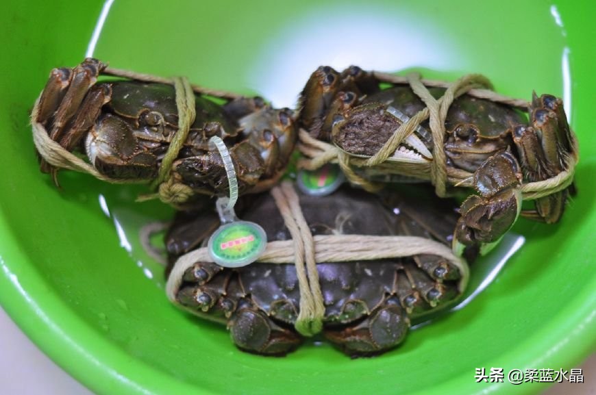 大闸蟹怎么挑肉最好吃蟹黄多,怎样的大闸蟹才是好螃蟹