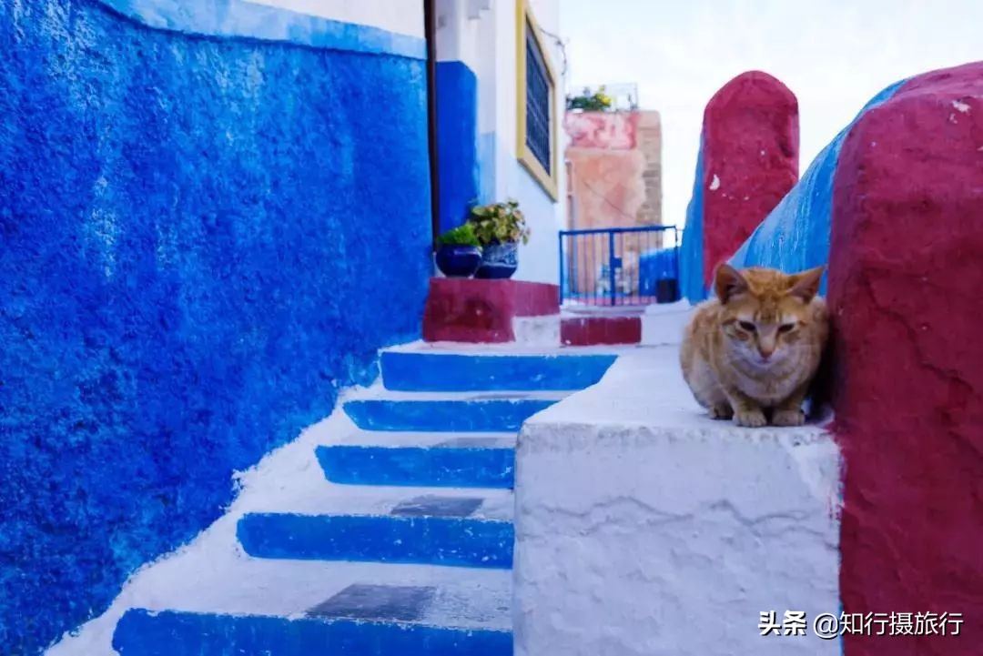 伊朗护照免签国家一览表,伊朗护照免签国家有哪些