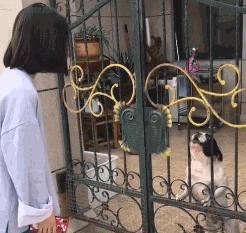 搞笑gif开心一刻,搞笑gif段子妹子你太皮了