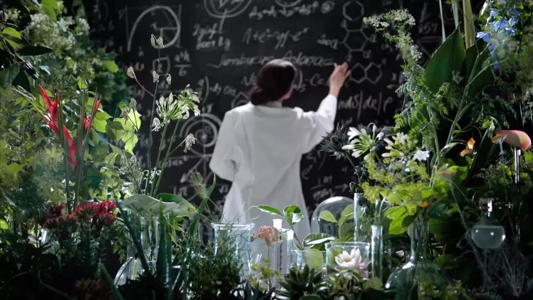 德国安娜柏林旗舰店,安娜柏林双蜜精华