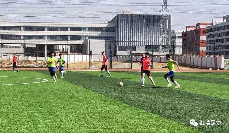 龙湖杯足球赛直播,龙湖足球比赛视频