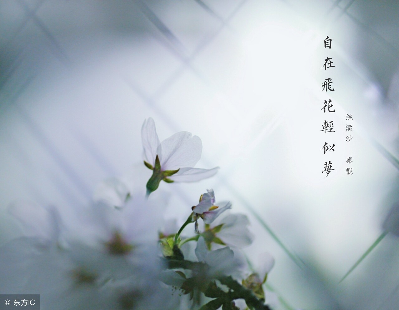 出生日期对应的西方神,各个月份代表的神