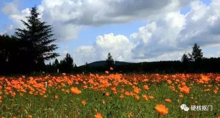 江浙皖五一亲子游冷门旅游景点,郑州出发五一冷门自驾游推荐