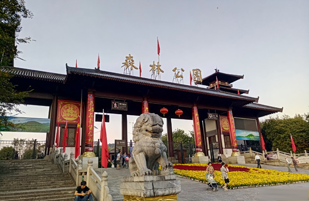 武汉踏青免费烧烤的自然景区,武汉马鞍山森林公园露营地推荐