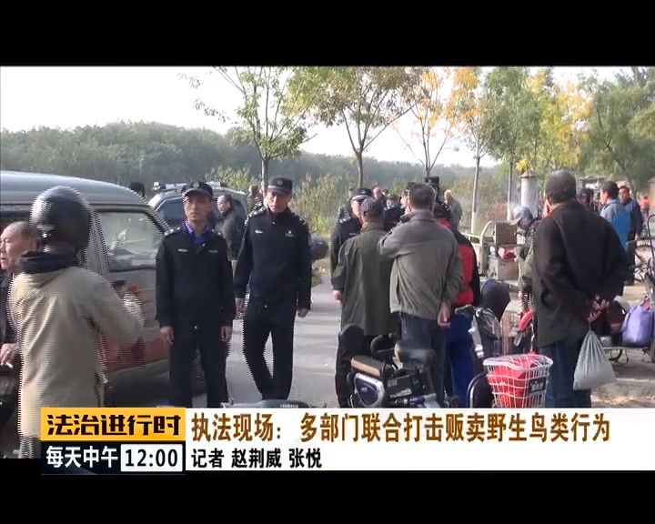 严厉打击非法捕猎候鸟,内蒙大兴安岭非法捕猎候鸟