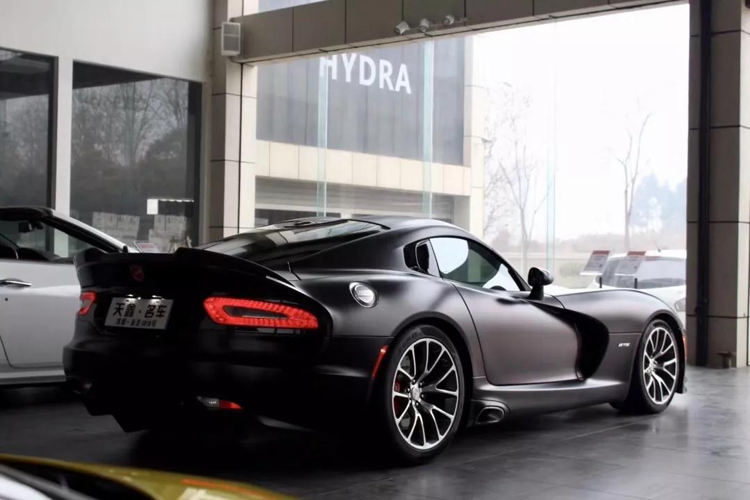 稀有蛇有哪些,道奇蝰蛇被称为什么