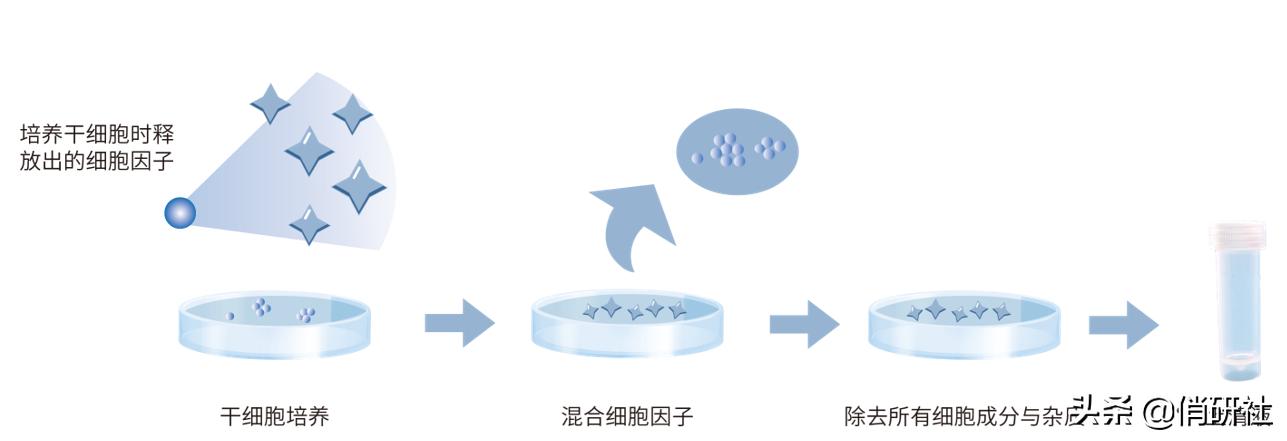 外泌体干细胞面膜真的有用吗,您还在为购买瓷砖交智商税吗