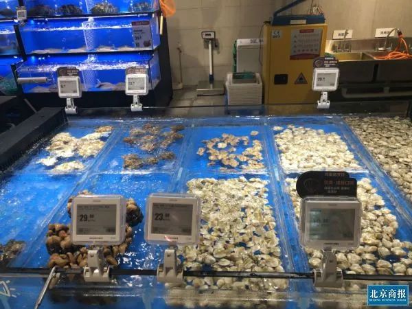 盒马mini店和盒马区别,盒马mini一个店有多大面积