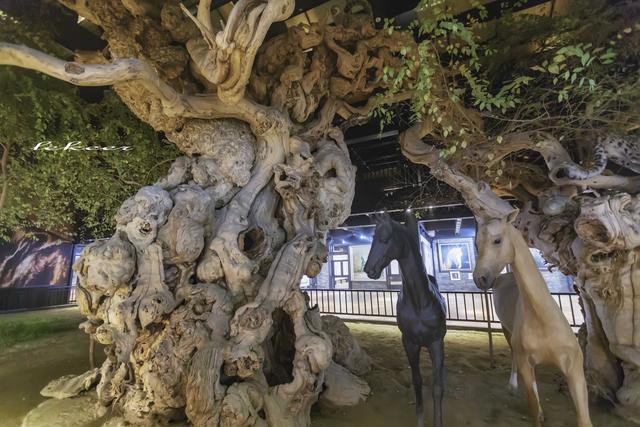 乌鲁木齐灯草沟滑雪,冰雪大世界滑雪体验