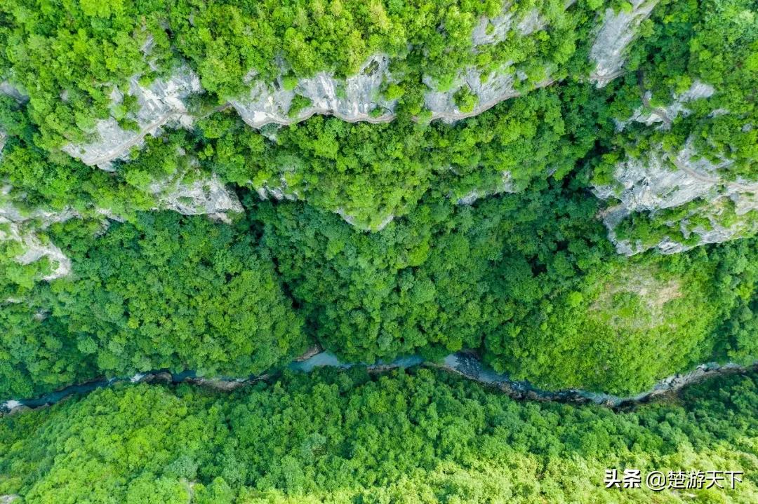 湖北景点应届毕业生免费有哪些,应届毕业生可以免费去哪些景区
