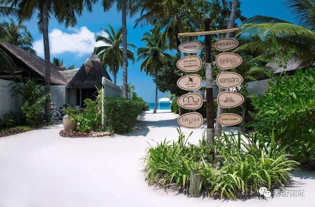 马尔代夫jv岛攻略,马尔代夫v岛
