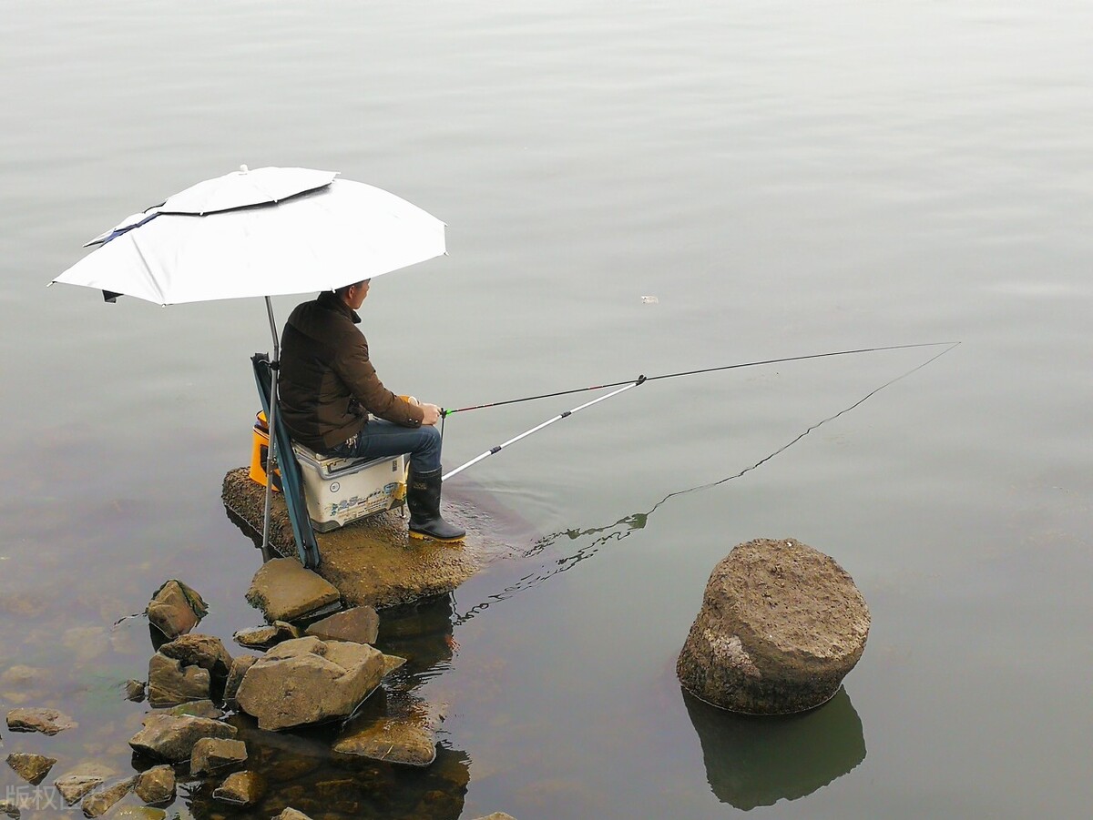 野钓鲫鱼实用技巧及方法,野钓钓鲫鱼的正确方法与技巧