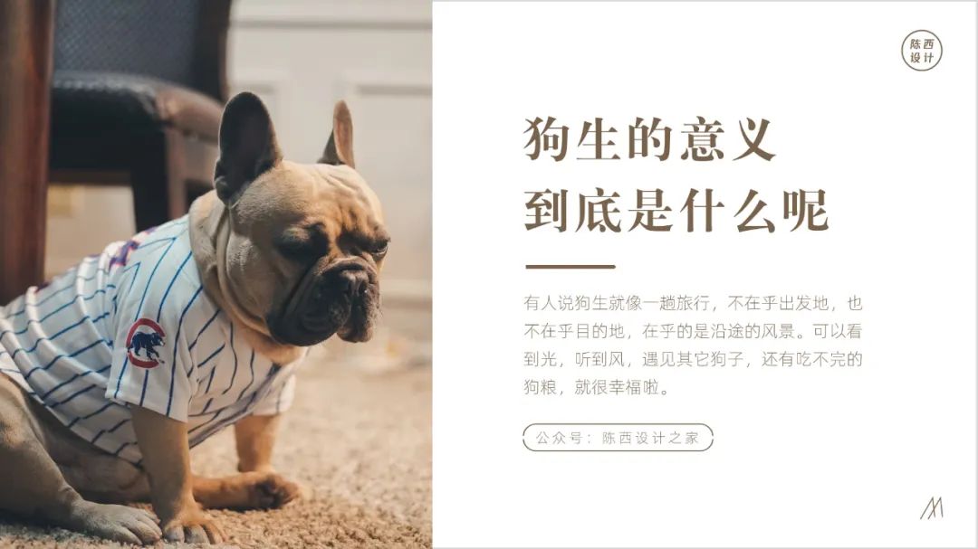 ppt里的图片素材是在哪里找到的,ppt内容素材图