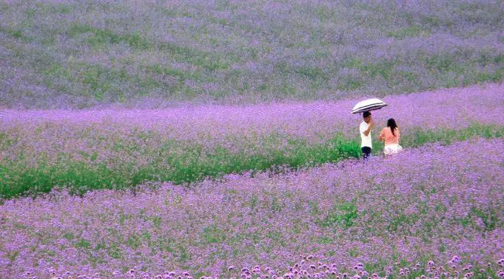 广西最想去的地方,广西最想去的8个地方