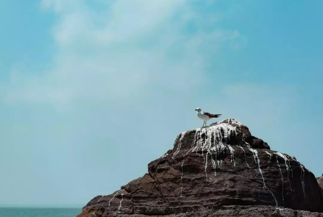 中国最具幸福感县级市江浙,中国最具幸福感县级市名单