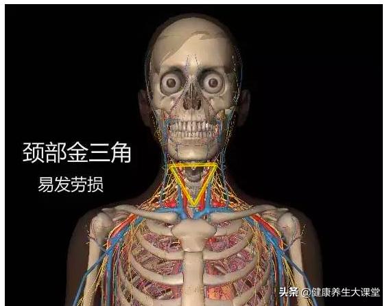 人体的十大危险区是什么,人体危险三角区指的是哪个部位