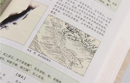 放羊老汉发现一个秘密,山西放羊老汉发现凤凰鸟