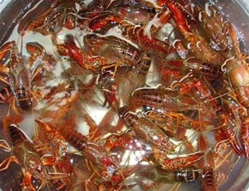 吃虾别瞎吃,一天吃虾不要超过多少