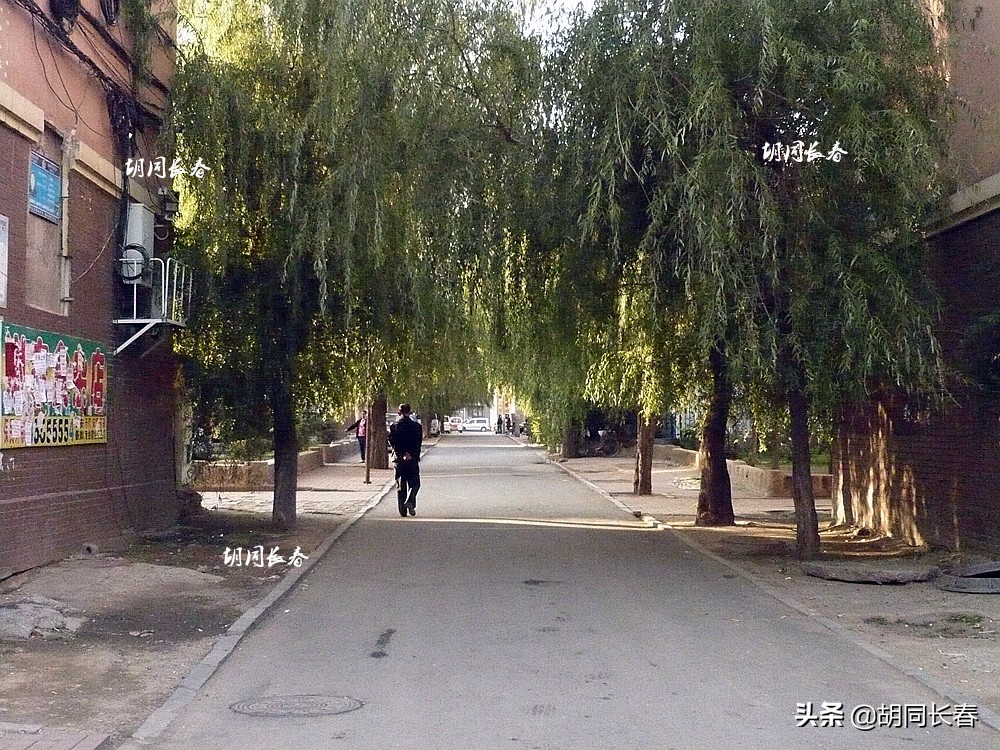 好男不娶桃源路什么意思,好男不娶桃源路好女不嫁八里堡