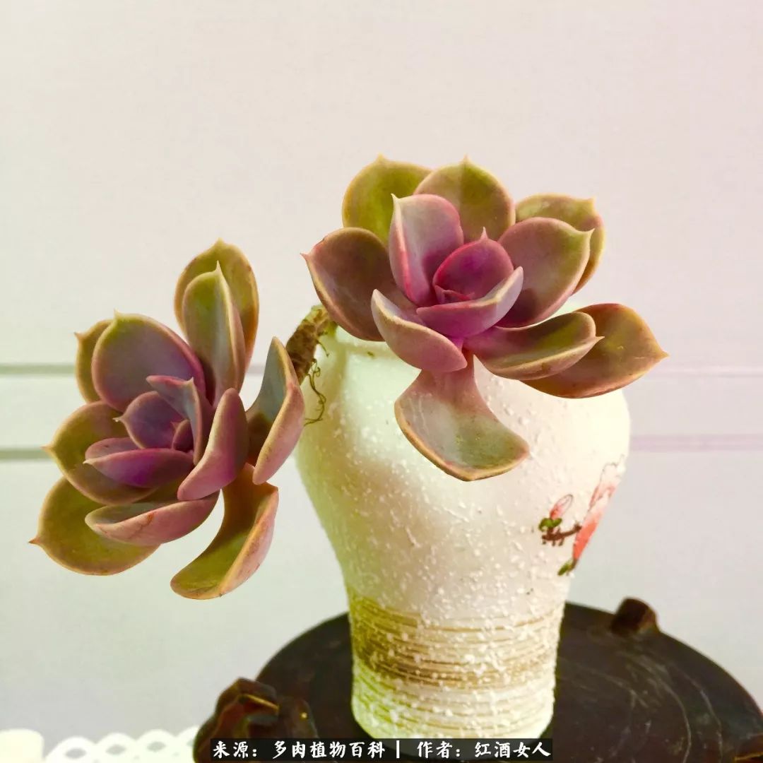 记录走过的美景留下美好的回忆,记录走过的每一段美好时光