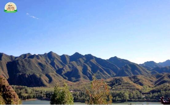 贵州助农团团最新视频,助农团团所有视频