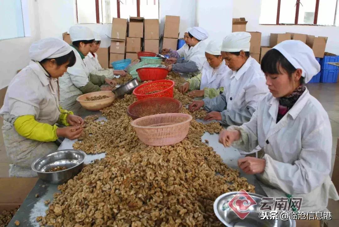 临沧国务院可持续发展创新示范区,临沧凤庆未来5年规划