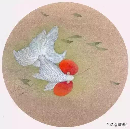 金鱼工笔画法图文教程你学会了吗,工笔画金鱼画法示范简单好学