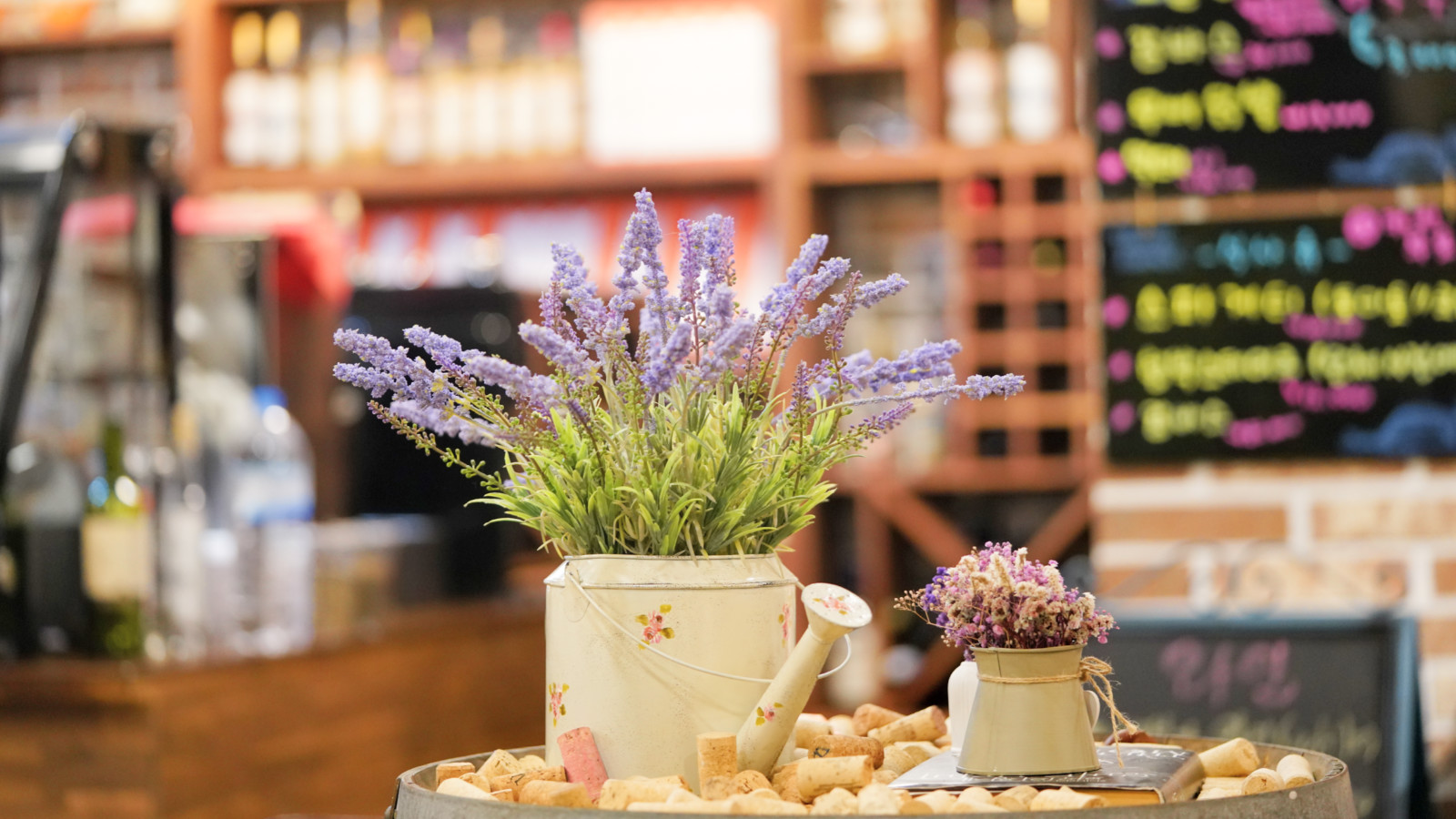 哇,人参随便挖!韩国还能这么玩