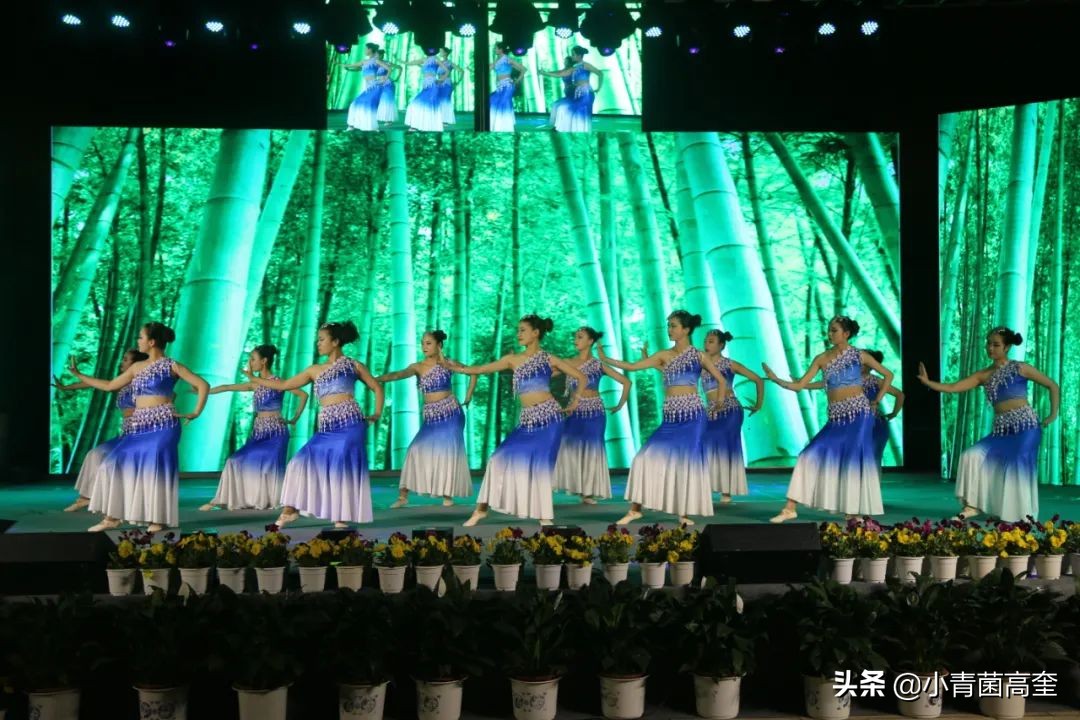 云南曲靖会泽县茚旺高中致远中学高一新生及补习班招生简章来啦