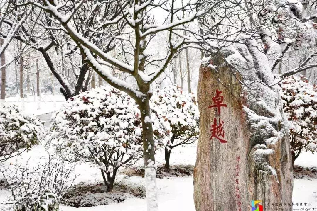 闈掑矝娓咕鑱岄櫌鏂扮敓,闈掑矝娓咕鑱屼笟瀛﹂櫌鍒樻皯