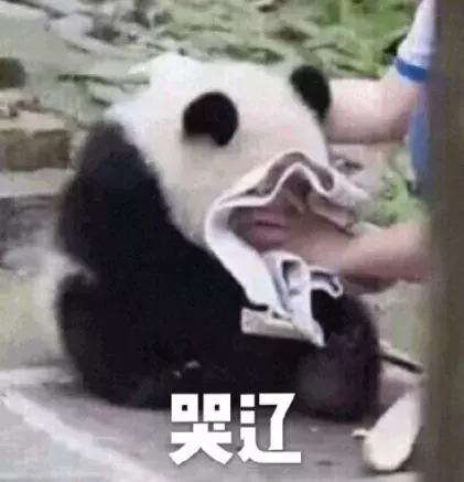 帮人代写作业,13岁女孩收入过万!却因这个原因,遭“举报”了……