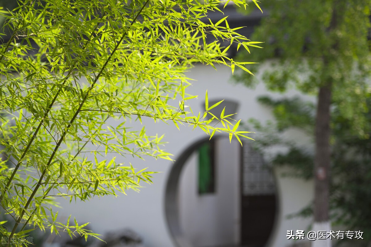 每天学习一味中药玉竹,每天学习一味中药