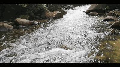 贺州姑婆山景区国家森林公园,贺州姑婆山森林公园路线