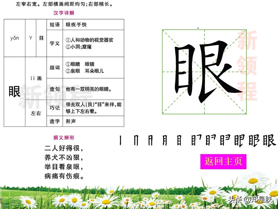 二年级小蝌蚪找妈妈诵读,二年级语文第1课小蝌蚪找妈妈