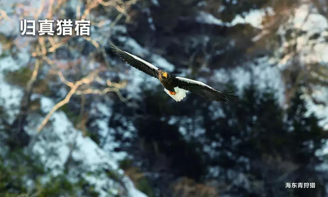 你等的开板终于要来了！