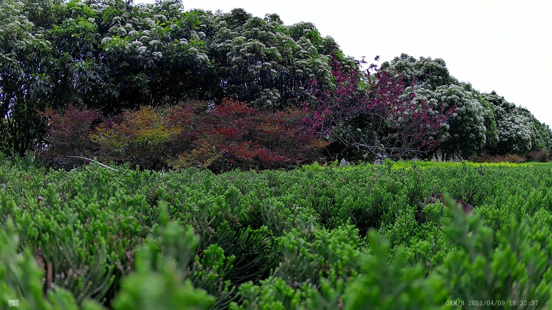 360行车记录仪k980有些什么功能,360全景行车记录仪防碰瓷实战