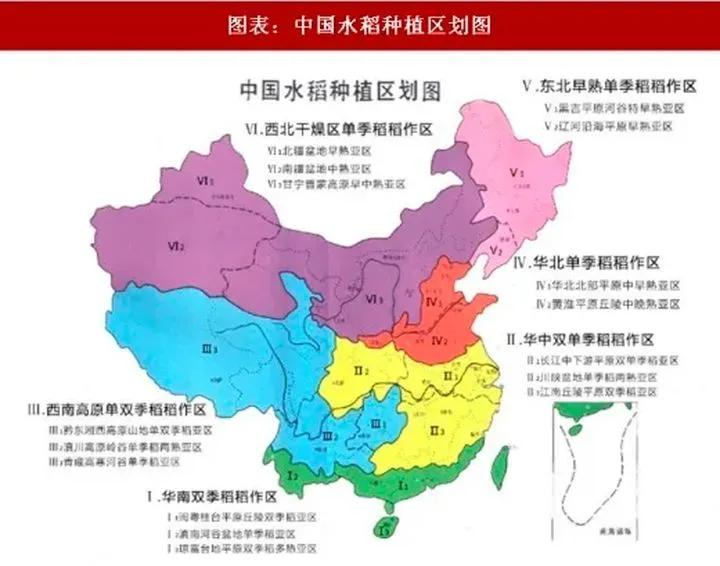 评价米饭好吃怎么说,对米饭赞美与批评的对比