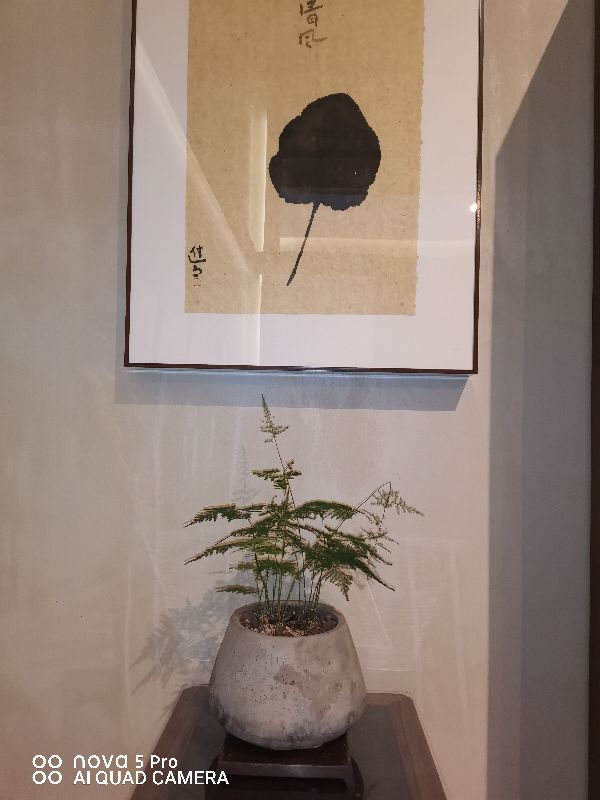 798北京艺术中心开放吗,北京朝阳区798艺术中心