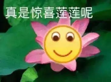 奚梦瑶豪门儿媳照片,赌王儿媳奚梦瑶