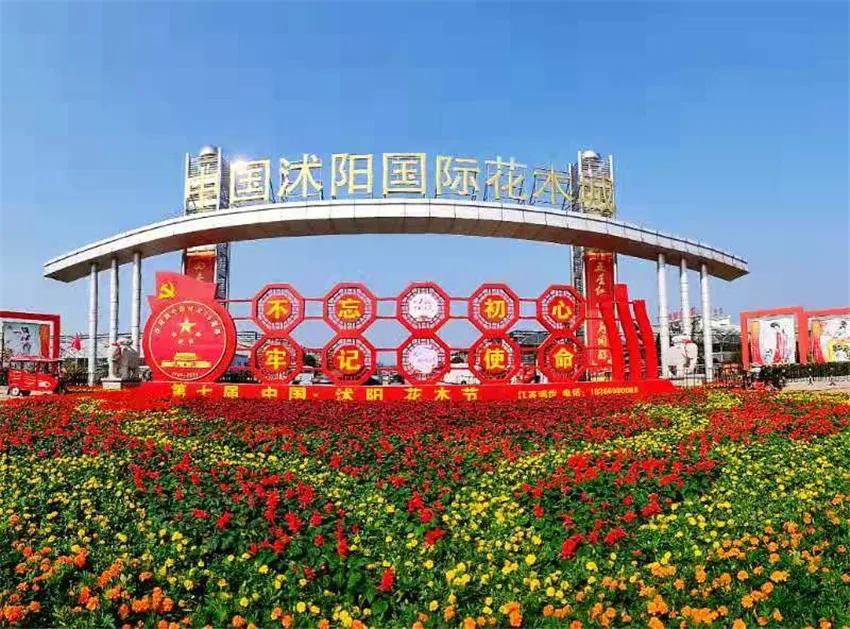 值得推荐的苗木,最值钱的苗木排行榜