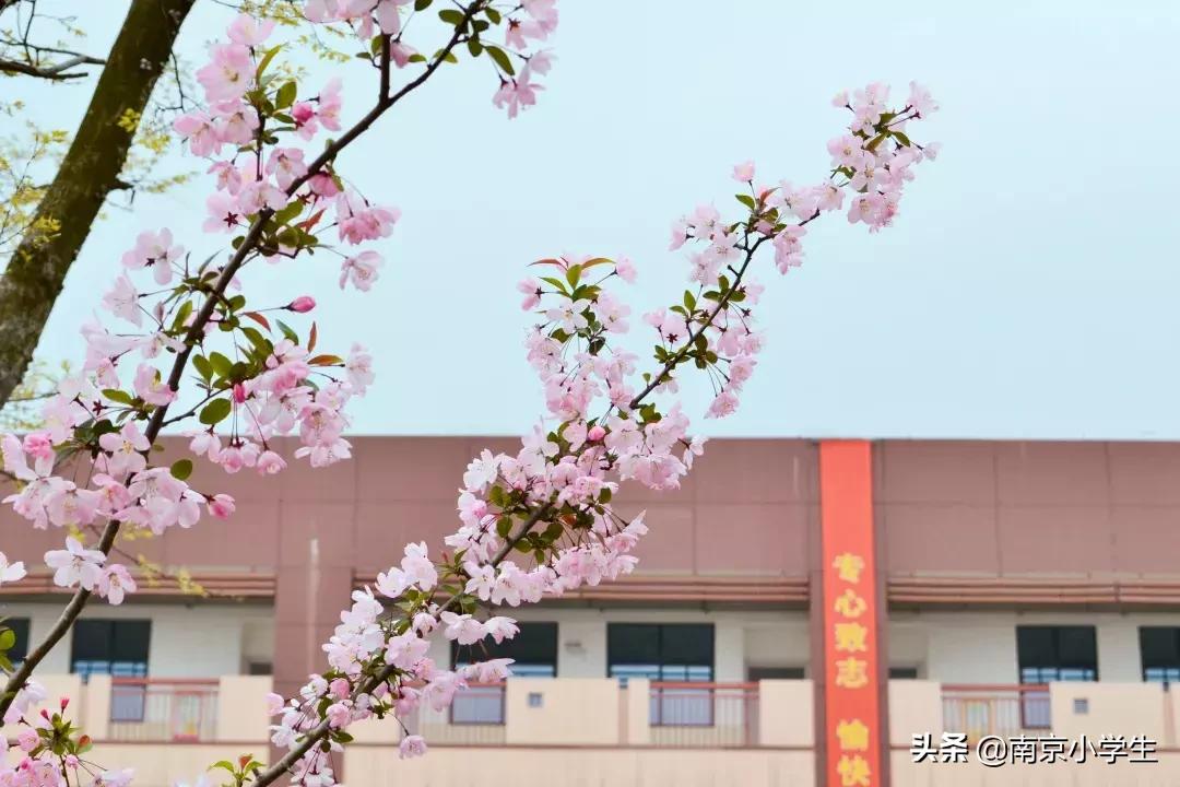 春和景明少年时,古雄小学2021年新生